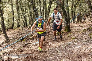 Trail Des Cèdres 2023 (Edition 14)